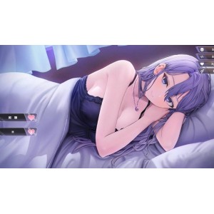 动态SLG_姐姐同居生活：幸福的二人房V1.03_中文存档