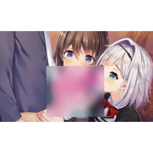 【忍者】NinNinDays2【1.9G百度】