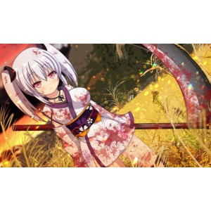 RPG火众之忍_汉化版_安卓电脑