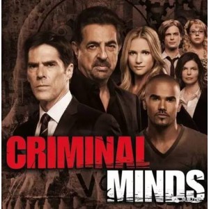 美剧合集：杜绝剧荒，精选经典美国电视剧与欧洲热播剧