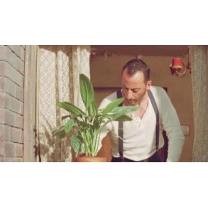 《2022年贺岁片：这个杀手不太冷静》，高清高码率，阿里云盘观看