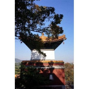 视频资源全面，颐和园（未删减版，速存易和谐），倍速播放，原画可下载