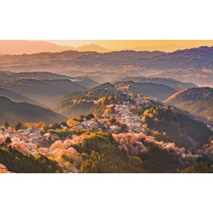 《2021获奖之作：又见奈良》，在阿里云盘上观看视频和原画，倍速播放！