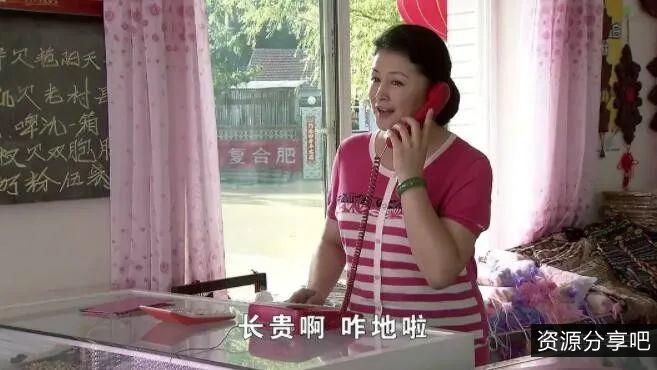 谢大脚执导的虚拟网络剧：乡村爱情14.4K，阿里云盘提供4K原画和倍速播放