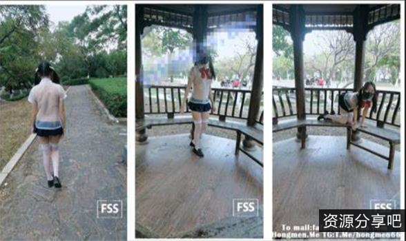 FSS冯珊珊超美犬系任务合集