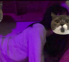 百合女大学生日常互动礼包，百度盘免费下载！