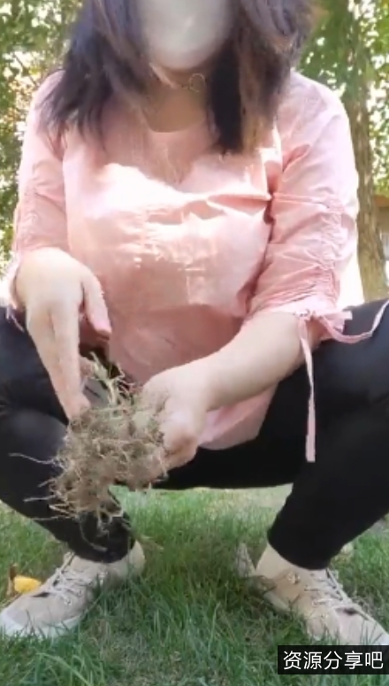 风情万种熟女柏欣彤广场舞合集，120个视频，57g，百度ED2K收藏