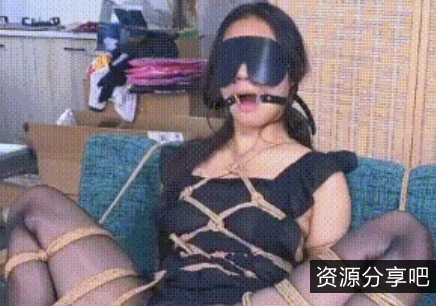 狗展现自己独特魅力的一次机会。