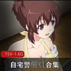 里番岛国自宅警備员合集最新16V1.6G，肥宅故事
