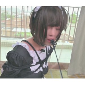 猫爪伪娘优质指教合集13部17.7G鹿角束缚